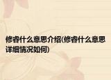修睿什么意思介绍(修睿什么意思详细情况如何)