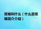 度娘叫什么（什么是度娘简介介绍）
