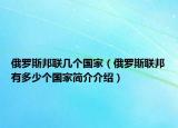 俄罗斯邦联几个国家（俄罗斯联邦有多少个国家简介介绍）