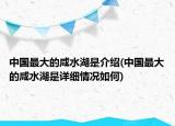 中国最大的咸水湖是介绍(中国最大的咸水湖是详细情况如何)