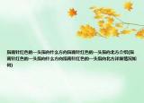指南针红色的一头指向什么方向指南针红色的一头指向北方介绍(指南针红色的一头指向什么方向指南针红色的一头指向北方详细情况如何)