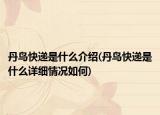 丹鸟快递是什么介绍(丹鸟快递是什么详细情况如何)