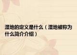 湿地的定义是什么（湿地被称为什么简介介绍）