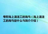 号称海上清洁工的海鸟（海上清洁工的海鸟是什么鸟简介介绍）