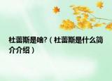 杜蕾斯是啥?（杜蕾斯是什么简介介绍）