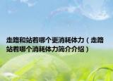 走路和站着哪个更消耗体力（走路 站着哪个消耗体力简介介绍）