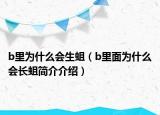 b里为什么会生蛆（b里面为什么会长蛆简介介绍）