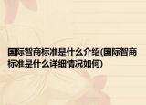 国际智商标准是什么介绍(国际智商标准是什么详细情况如何)
