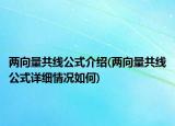 两向量共线公式介绍(两向量共线公式详细情况如何)