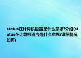status在计算机语言是什么意思?介绍(status在计算机语言是什么意思?详细情况如何)