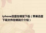 iphone迅雷在哪里下载（苹果迅雷下载文件在哪简介介绍）