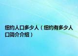 纽约人口多少人（纽约有多少人口简介介绍）