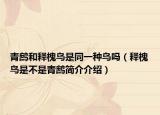 青鹧和释槐鸟是同一种鸟吗（释槐鸟是不是青鹧简介介绍）