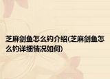 芝麻剑鱼怎么钓介绍(芝麻剑鱼怎么钓详细情况如何)