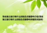 想去瑞士旅行有什么好的景点推荐吗介绍(想去瑞士旅行有什么好的景点推荐吗详细情况如何)