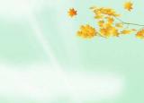 滑轮组机械效率η=W有用\W总=Gh\Fs=G\Fn=G\Fn=G\(G+G动滑轮)=G\G总∵F=1\nG总G为物重,h为物体上升的高度,F为拉力大小,s为绳子上升的高度,n是绳子绕数（与动滑轮相连的）.或η=W有用\W总=Gh\G总h=Gh\(G+Go)h=G\(G+Go)G总为动滑轮与物体总重,Go为动滑轮重.和各字母代表的量.顺便求斜面机械效率公式
