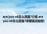 are(you ok怎么回答?介绍 are you ok怎么回答?详细情况如何)