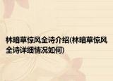 林暗草惊风全诗介绍(林暗草惊风全诗详细情况如何)
