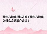 拳皇八神庵是坏人吗（拳皇八神庵为什么会疯简介介绍）
