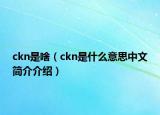 ckn是啥（ckn是什么意思中文简介介绍）