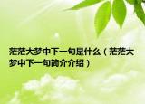 茫茫大梦中下一句是什么（茫茫大梦中下一句简介介绍）