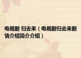 电视剧 归去来（电视剧归去来剧情介绍简介介绍）