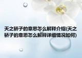 天之骄子的意思怎么解释介绍(天之骄子的意思怎么解释详细情况如何)