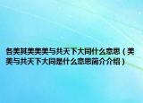 各美其美美美与共天下大同什么意思（美美与共天下大同是什么意思简介介绍）