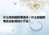 什么样的翅膀填词语（什么的翅膀填合适的词简介介绍）