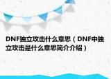 DNF独立攻击什么意思（DNF中独立攻击是什么意思简介介绍）