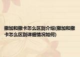 撒加和撒卡怎么区别介绍(撒加和撒卡怎么区别详细情况如何)