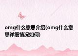 omg什么意思介绍(omg什么意思详细情况如何)