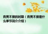 青黄不接的时期（青黄不接是什么季节简介介绍）