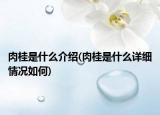 肉桂是什么介绍(肉桂是什么详细情况如何)