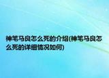 神笔马良怎么死的介绍(神笔马良怎么死的详细情况如何)