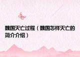 魏国灭亡过程（魏国怎样灭亡的简介介绍）