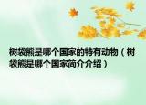 树袋熊是哪个国家的特有动物（树袋熊是哪个国家简介介绍）