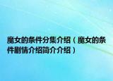 魔女的条件分集介绍（魔女的条件剧情介绍简介介绍）