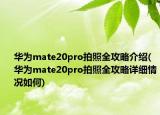 华为mate20pro拍照全攻略介绍(华为mate20pro拍照全攻略详细情况如何)