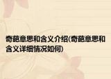 奇葩意思和含义介绍(奇葩意思和含义详细情况如何)