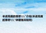 半途而废的意思\