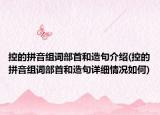 控的拼音组词部首和造句介绍(控的拼音组词部首和造句详细情况如何)