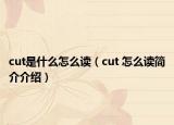 cut是什么怎么读（cut 怎么读简介介绍）