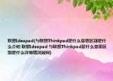 联想Ideapad(与联想Thinkpad是什么意思区别是什么介绍 联想Ideapad 与联想Thinkpad是什么意思区别是什么详细情况如何)