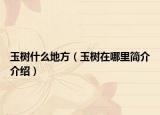 玉树什么地方（玉树在哪里简介介绍）