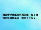 甄嬛传里面跳惊鸿舞是哪一集（甄嬛传惊鸿舞是哪一集简介介绍）