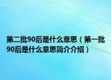 第二批90后是什么意思（第一批90后是什么意思简介介绍）