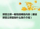 项目立项一般包括哪些内容（建设项目立项是指什么简介介绍）