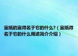 宣纸的宣得名于它的什么?（宣纸得名于它的什么用途简介介绍）