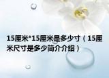 15厘米*15厘米是多少寸（15厘米尺寸是多少简介介绍）